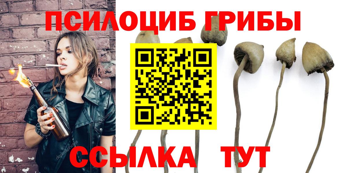 Галлюциногенные грибы Psilocybe  купить закладку  Вход с VPN  Избербаш  Галлюциногенные грибы мицелий 